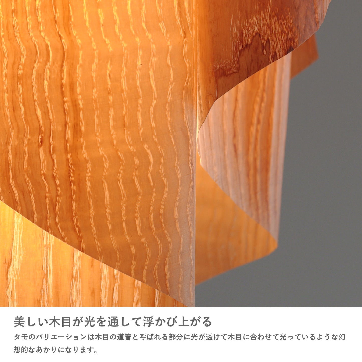 Auro(アウロ) ペンダントランプ tamo DI CLASSE(ディクラッセ) <ラッピング対象外>