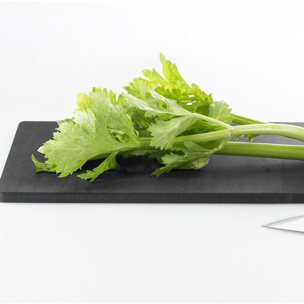 EAトCO(イイトコ) Ita long cutting board イタ ロング / 樹脂製カッティングボード 日本製