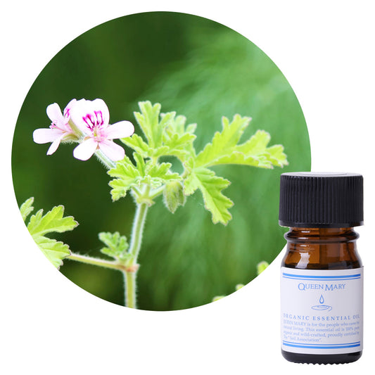 QUEEN MARY/クイーンメリー精油 ゼラニウム 5mL