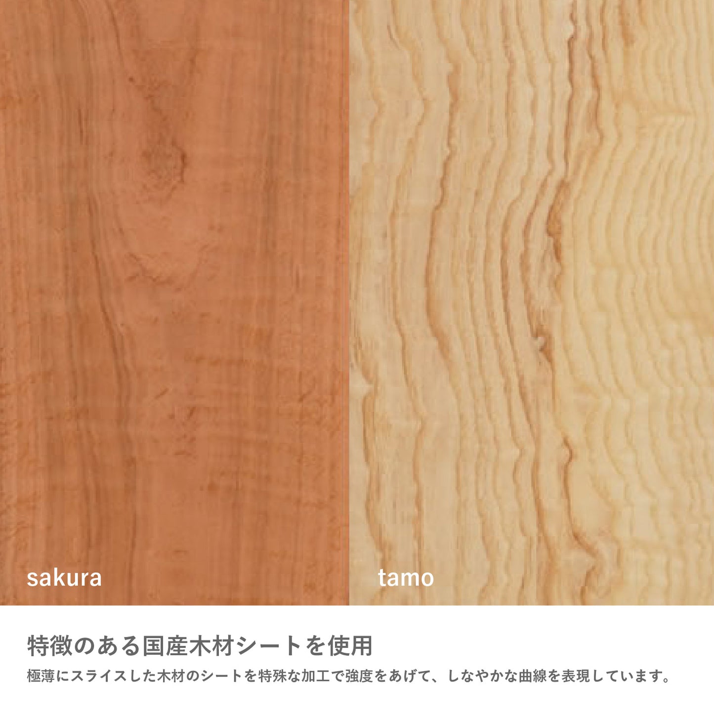 Auro（アウロ） ペンダントランプ sakura  DI CLASSE（ディクラッセ） ＜ラッピング対象外＞