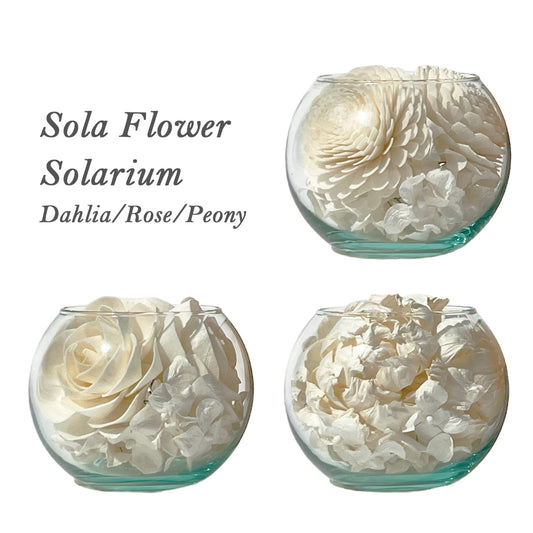 Sola Flower（ソラフラワー）Solarium (ソラリウム) 全3種