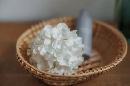 Sola Flower（ソラフラワー）Sphere (スフィア) 全3種