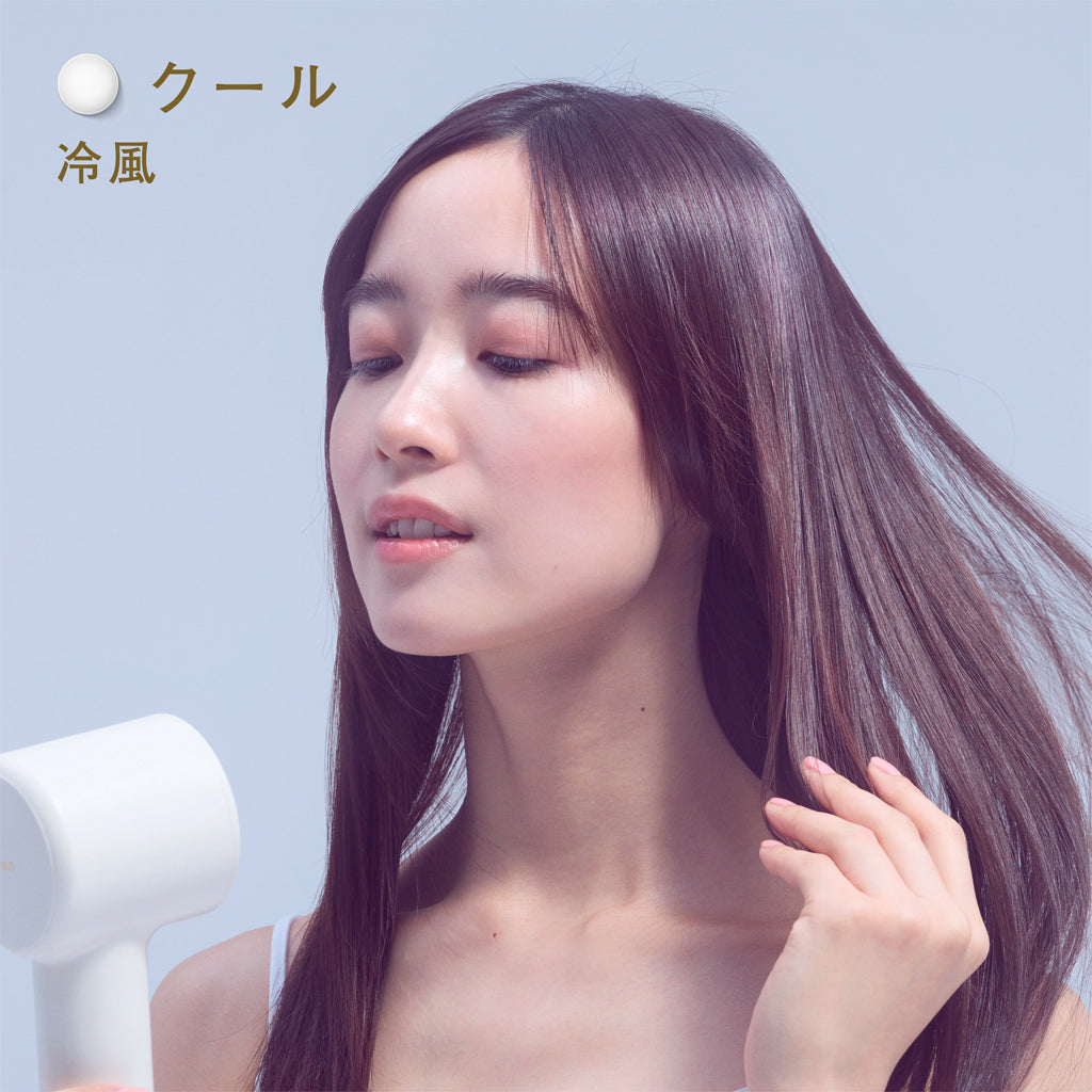 FESTINO（フェスティノ）  ツヤニュアンス ドライヤー SMHB-047