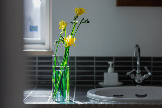 FARM リバーシブルベイス 18C