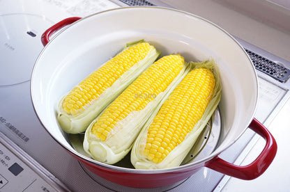 FUJIHORO（富士ホーロー）オールインワン（スノコ付） 27cm 全3色