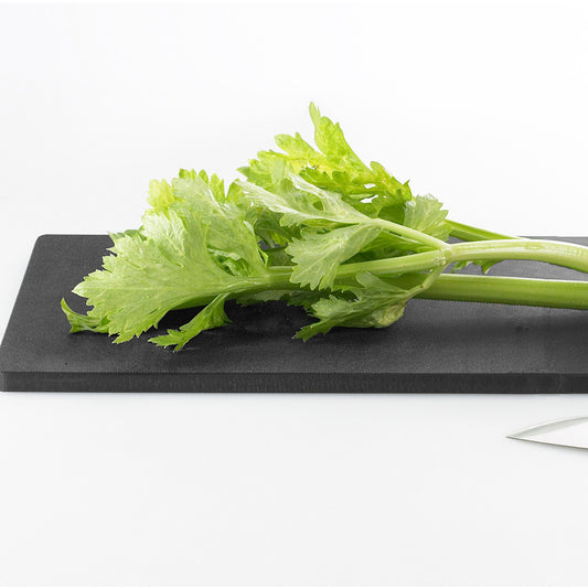 EAトCO（イイトコ）  Ita long cutting board イタ ロング / 樹脂製カッティングボード 日本製