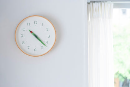 Lemnos とまり木の時計 てんとう虫 掛け時計  SUR18-16 TENTO