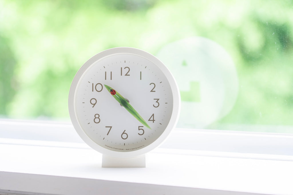 Lemnos とまり木の時計 mini てんとう虫 掛け置き兼用  SUR20-06 TENTO