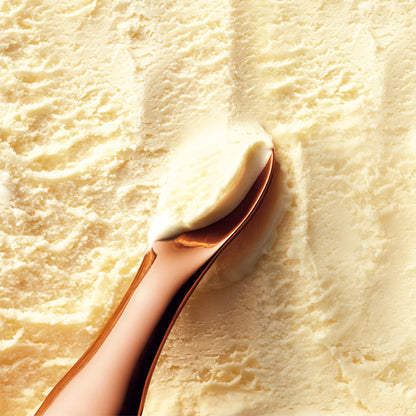 Lemnos 15.0% ice cream spoon（アイスクリームスプーン）No.21 ex vanilla（エクストラ バニラ） JT24G-01