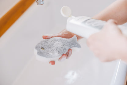 marna（マーナ）おさかなスポンジ 全14色