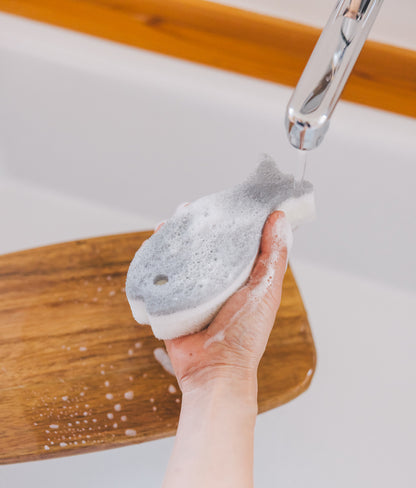 marna（マーナ）おさかなスポンジ 全14色