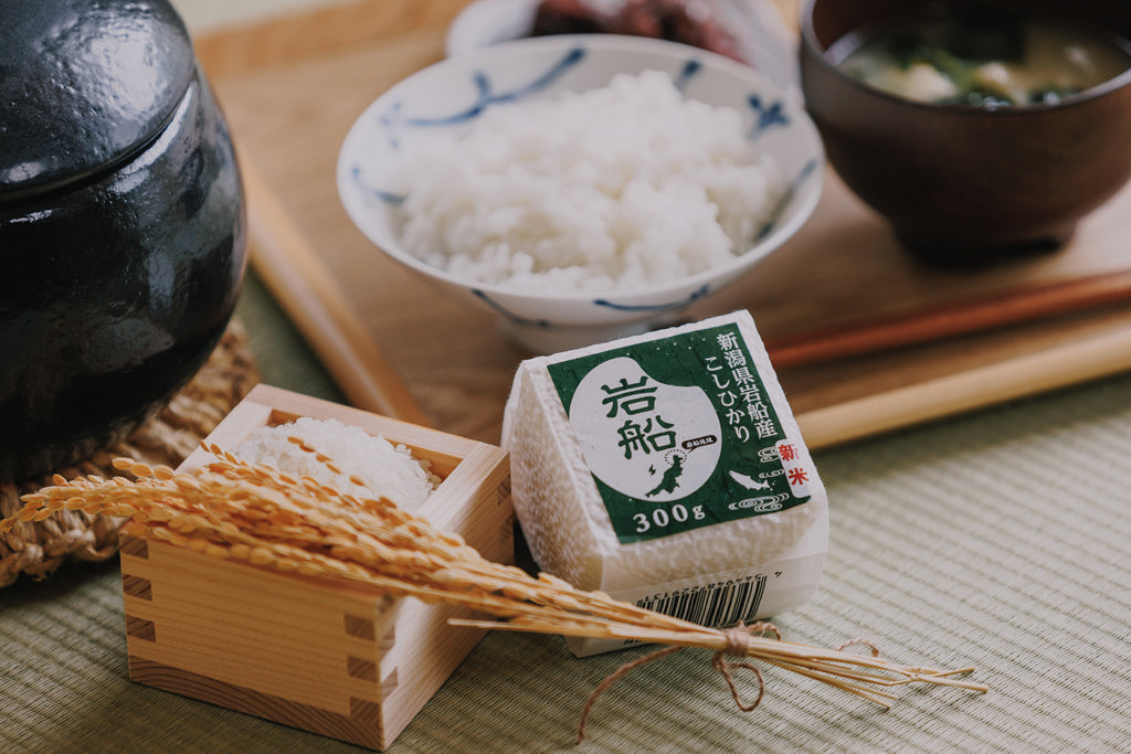 【令和8年度産＊新米】 岩船産こしひかり 300g (2合）