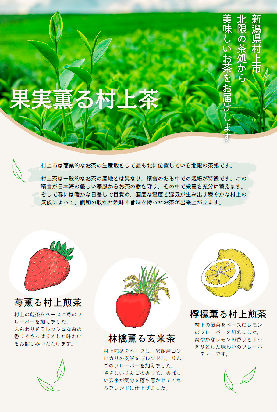 苺薫る 村上煎茶 / 村上茶