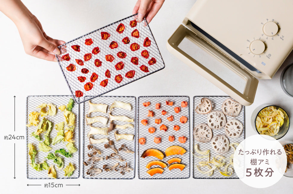 récolte（レコルト）ドライフード＆ヨーグルトメーカー クリームホワイト ＜ラッピング対象外＞