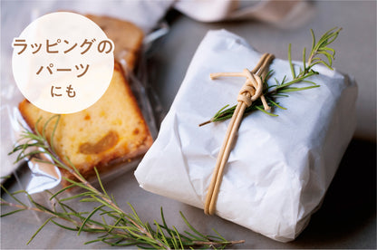 récolte（レコルト）ドライフード＆ヨーグルトメーカー クリームホワイト ＜ラッピング対象外＞