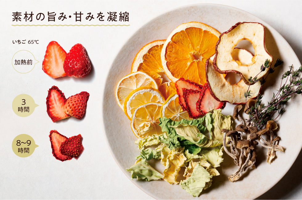 récolte（レコルト）ドライフード＆ヨーグルトメーカー クリームホワイト ＜ラッピング対象外＞