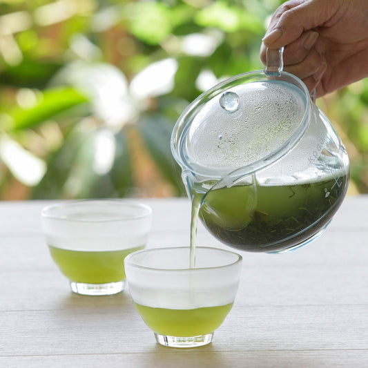 茶考具 割れにくいティーポット 500ml 日本製