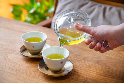 茶考具 割れにくい急須 230mL 日本製